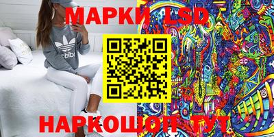 крисы Кандалакша