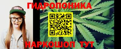 крисы Кандалакша